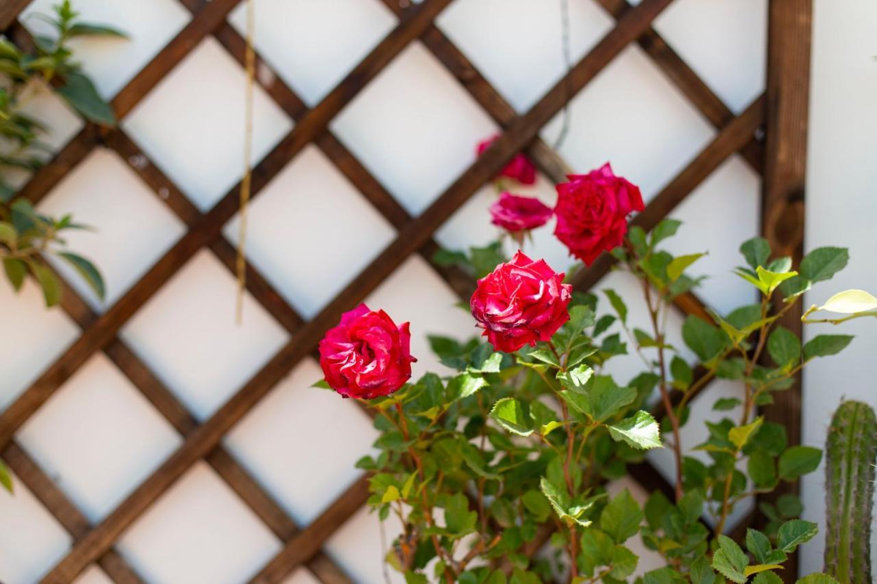 Apartmán Casa Turistica Patio Cordobes - Parking Privado En La Juderia Córdoba Exteriér fotografie