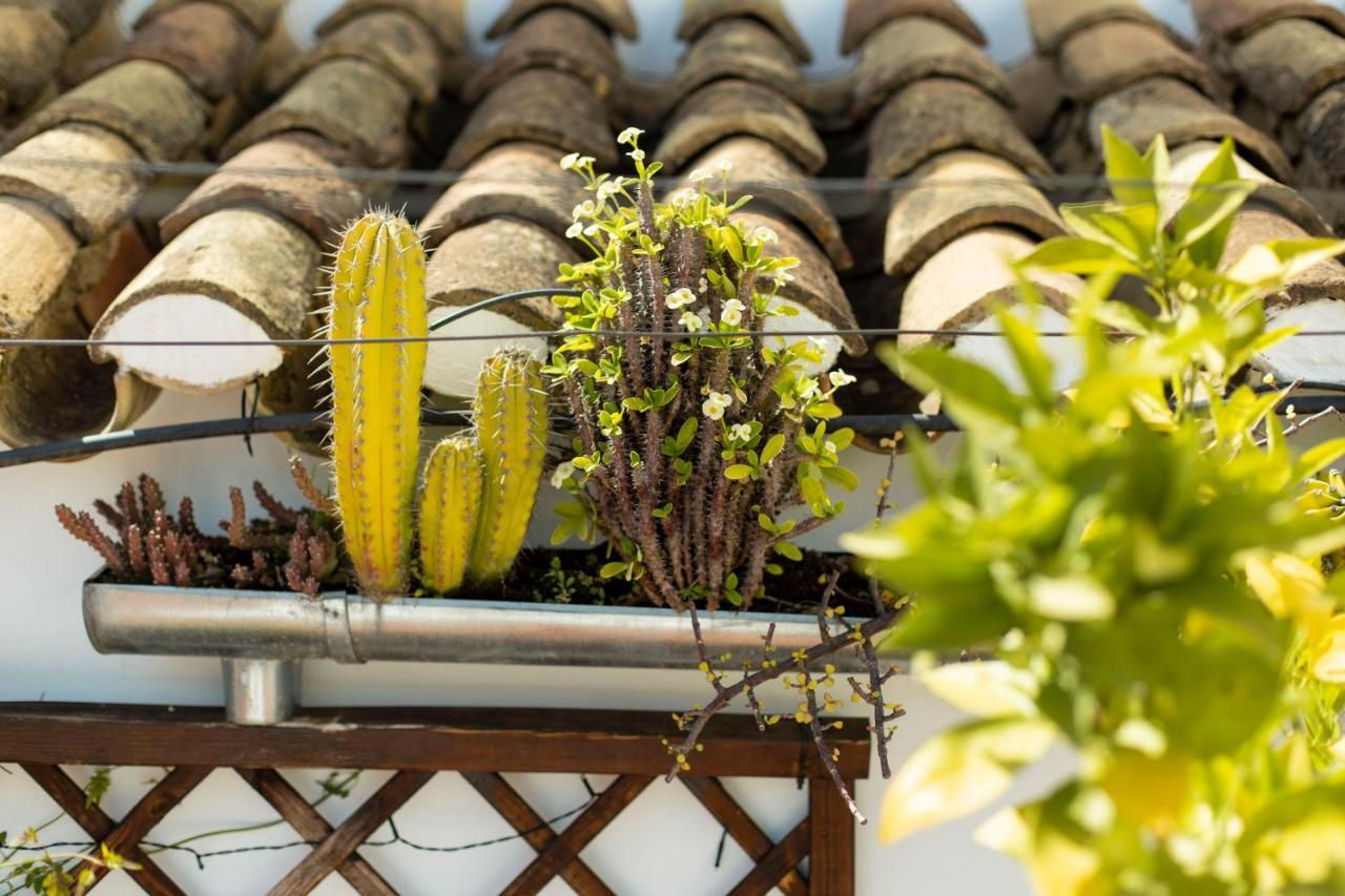 Apartmán Casa Turistica Patio Cordobes - Parking Privado En La Juderia Córdoba Exteriér fotografie