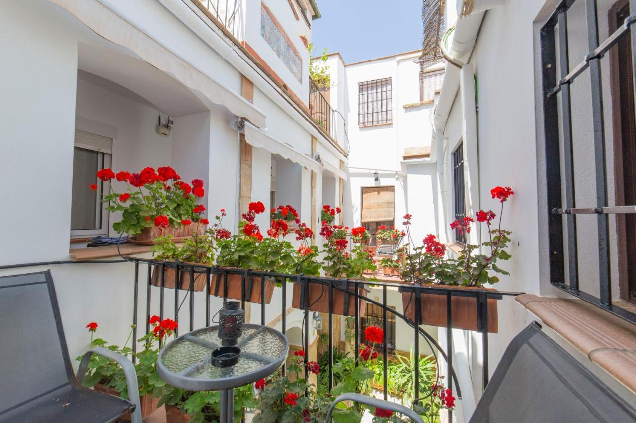 Apartmán Casa Turistica Patio Cordobes - Parking Privado En La Juderia Córdoba Exteriér fotografie