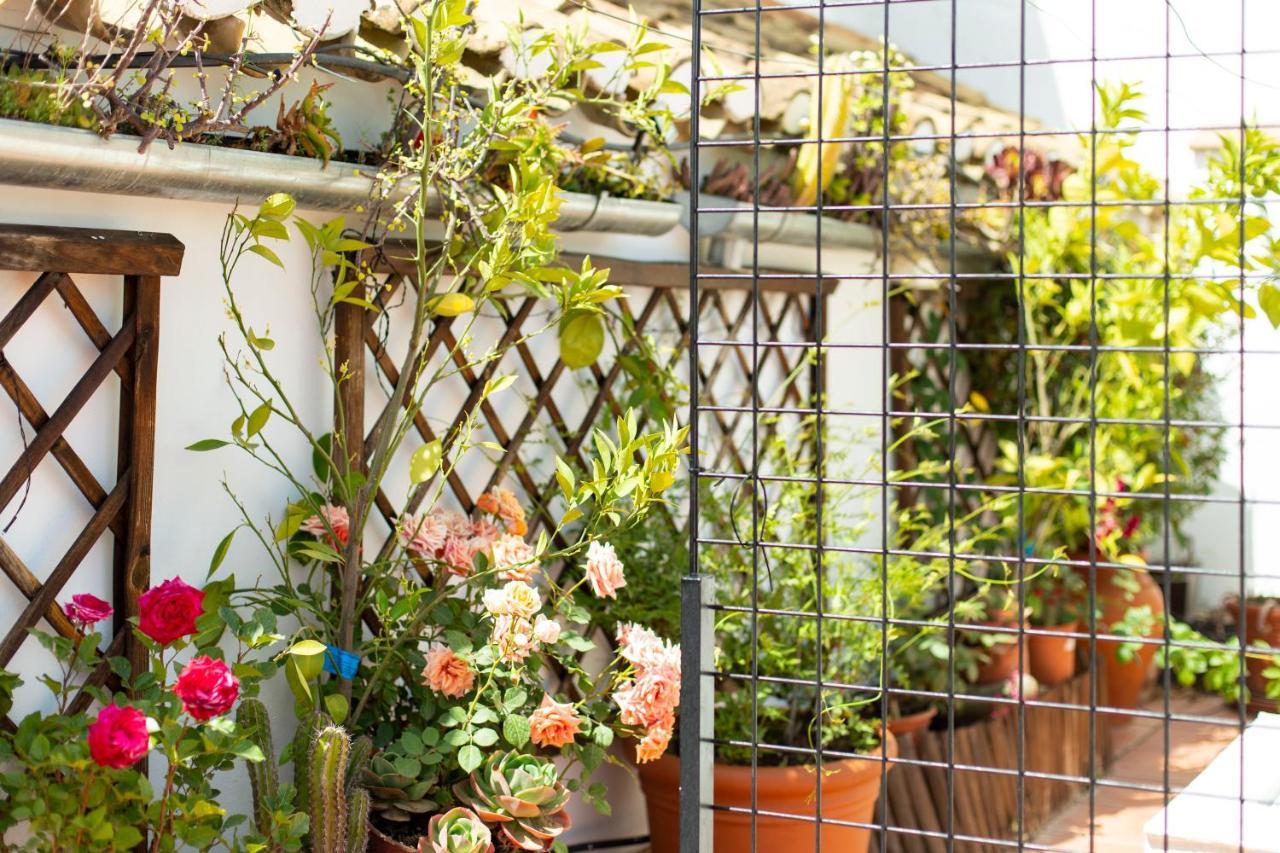 Apartmán Casa Turistica Patio Cordobes - Parking Privado En La Juderia Córdoba Exteriér fotografie